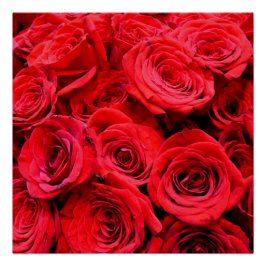 Póster Roses rojos