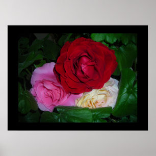 Póster RoseTrio sobre el poster-Personalizar negro/Person