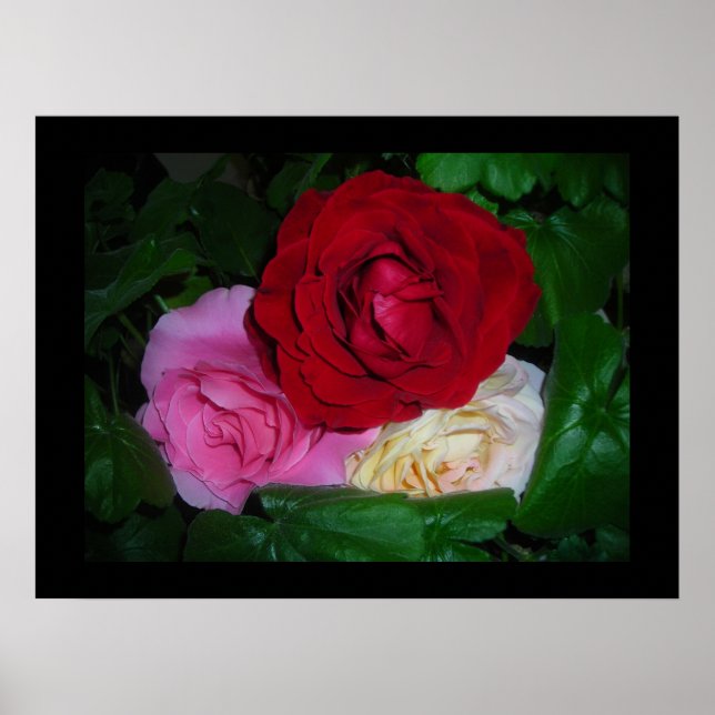 Póster RoseTrio sobre el poster-Personalizar negro/Person (Frente)