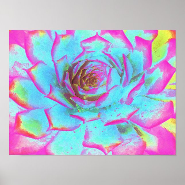 Póster Rosette de sedición azul y rosa caliente (Frente)