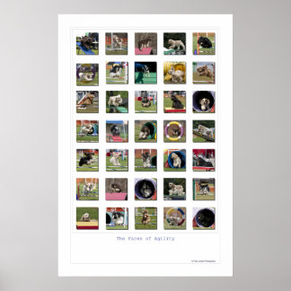 Póster Rostros de Agility - Edición de Cocker Spaniel