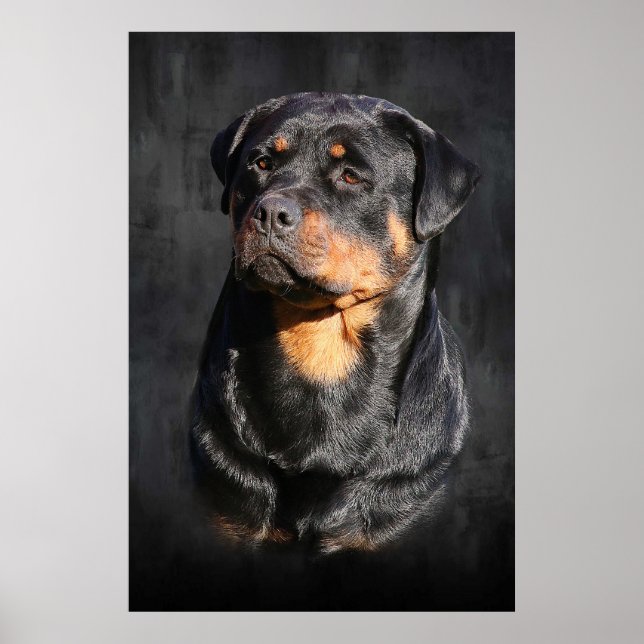 Póster Rottweiler (Frente)