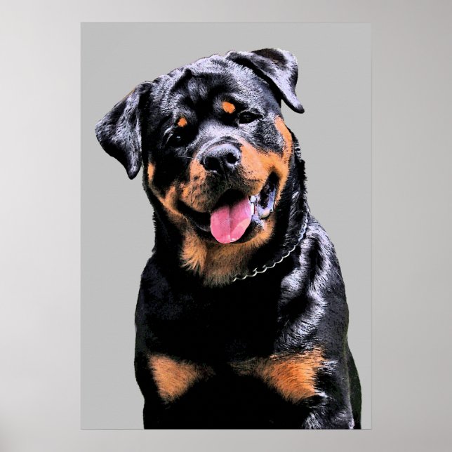 Póster Rottweiler (Frente)