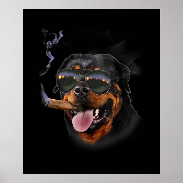 Póster Rottweiler Con Aviador De Vidrio De Cigar (Frente)