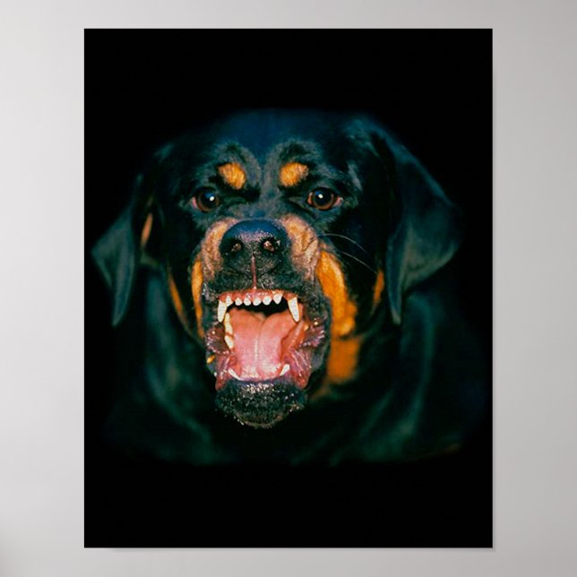 Póster Rottweiler funny poster (Frente)