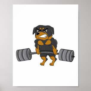 Póster Rottweiler Halterofilia Bodybuilding Dog Shirt Fo