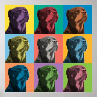 Póster Rottweiler Pop-Art Poster