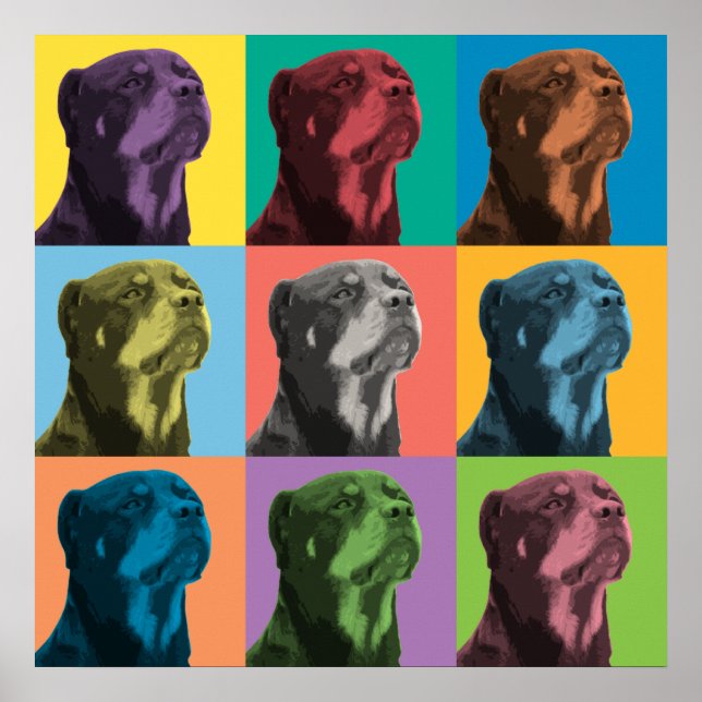 Póster Rottweiler Pop-Art Poster (Frente)