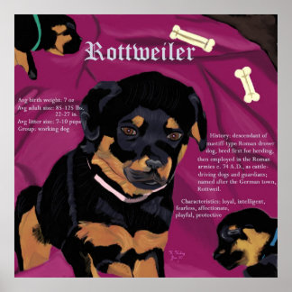 Póster Rottweiler Pup poster