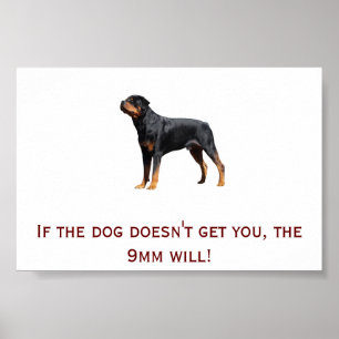 Póster Rottweiler y 9m m