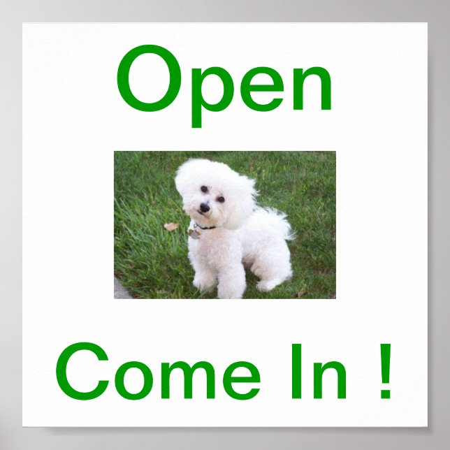 Póster Rótulo abierto de Bichon Frise Dog (Frente)