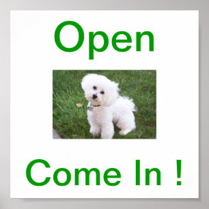 Póster Rótulo abierto del perro de Bichon Frise