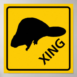 Póster Rótulo de la autopista Beaver Crossing