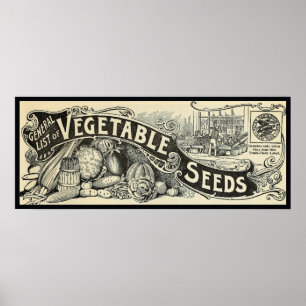 Póster Rótulo de Semillas Vegetales Antiguo 1894
