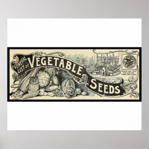 Póster Rótulo de Semillas Vegetales Antiguo 1894