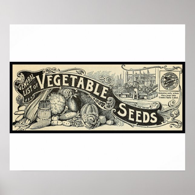 Póster Rótulo de Semillas Vegetales Antiguo 1894 (Frente)