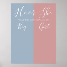 Rótulo De Votación De Género Azul Y Rosa