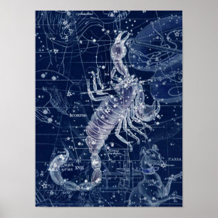 Póster Rótulo Escorpio Zodiaco Ilustracion de cosecha