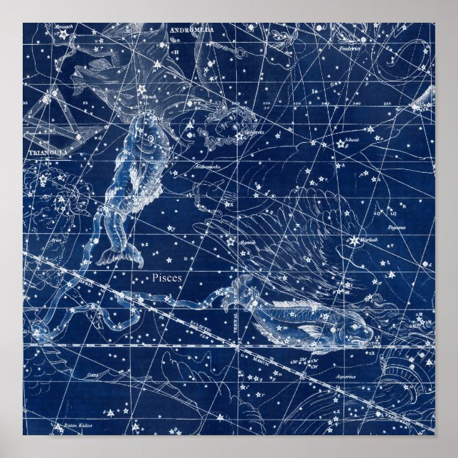 Póster Rótulo Pisces Zodiac Ilustracion de cosecha (Frente)