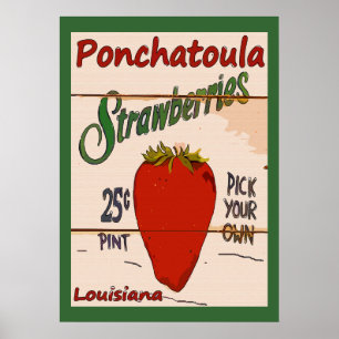 Póster Rótulo Ponchatoula Strawberries