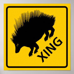 Póster Rótulo Porcupine Crossing Highway