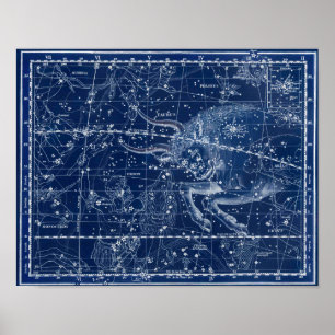 Póster Rótulo Taurus Zodiac Ilustracion de cosecha