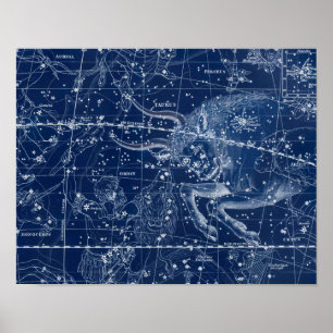 Póster Rótulo Taurus Zodiac Ilustracion de cosecha