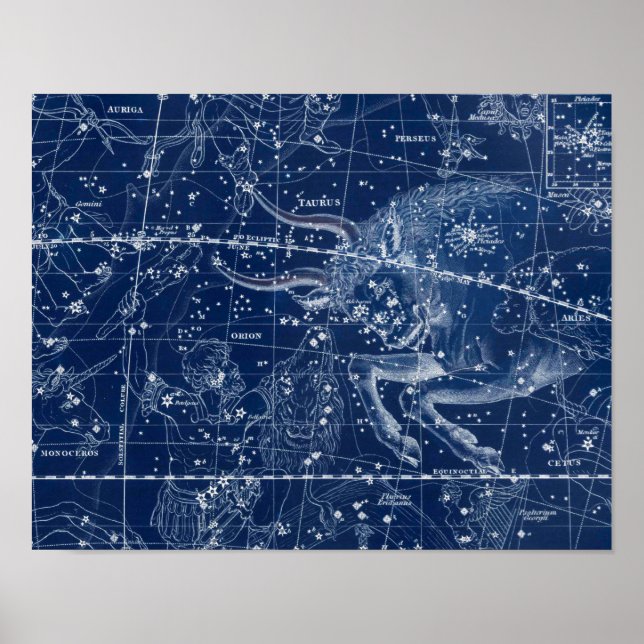 Póster Rótulo Taurus Zodiac Ilustracion de cosecha (Frente)