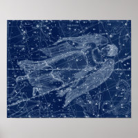 Rótulo Virgo Zodiac Ilustracion de cosecha