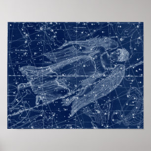 Póster Rótulo Virgo Zodiac Ilustracion de cosecha