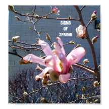 RÓTULOS DEL POSTER DE LA PRIMAVERA