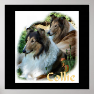 Póster Rough Collie Art Gifts