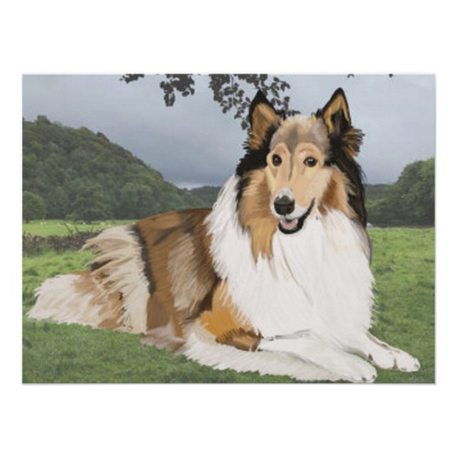 Póster Rough Collie contra los Yorkshire Dales (Anverso)