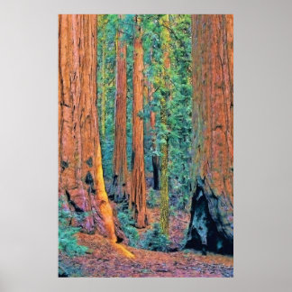 Póster roughtrees faa24