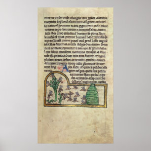 Póster Roy Página de texto con ilustracion de