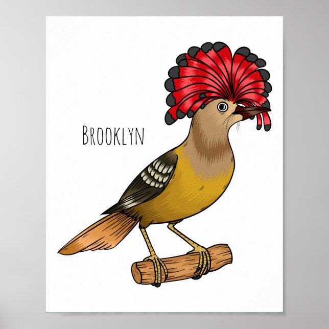 Póster Royal flycatcher bird cartoon illustration (Frente)