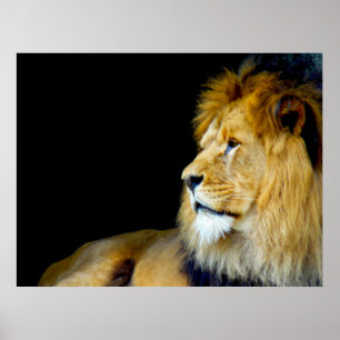 Póster Royal Portrait