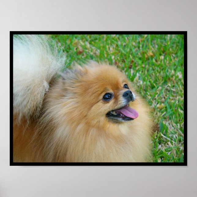 Póster Rubia rubia (Frente)