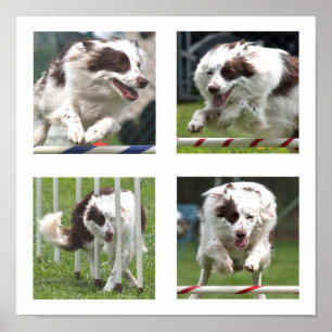 Póster Ruby Agility Poster