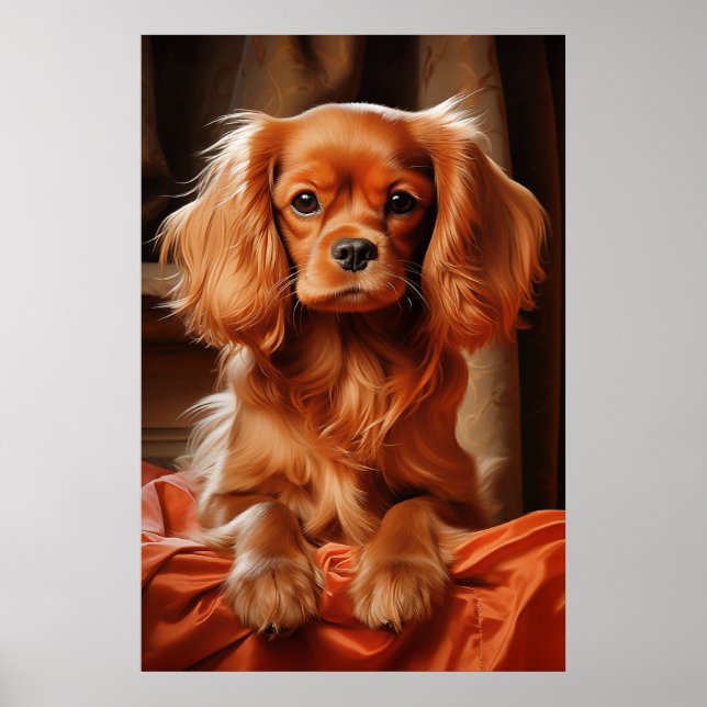 Póster Ruby Cavalier King Charles Spaniel (Frente)