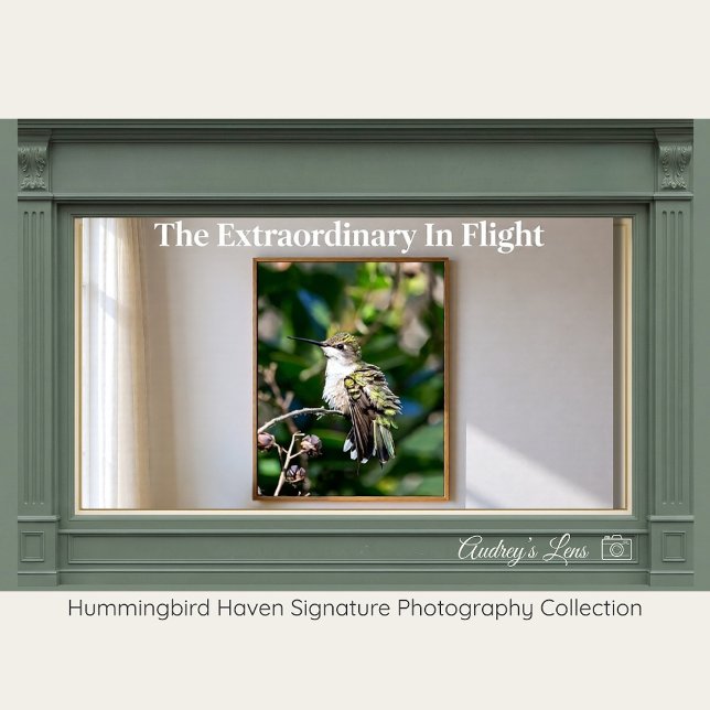 Póster Ruby-Throated Hummingbird Fine Art Photography  (Subido por el creador)