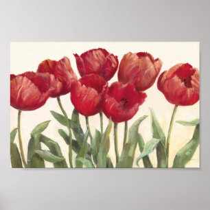 Póster Ruby Tulips