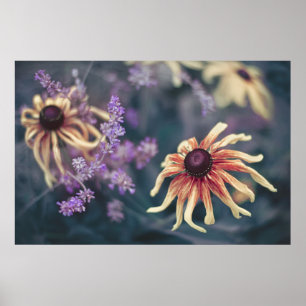 Póster Rudbeckia Amarilla Y Lavanda Púrpura