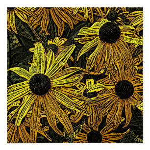 PÓSTER RUDBECKIAS