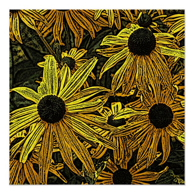 PÓSTER RUDBECKIAS (Anverso)