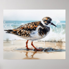 Póster Ruddy Turnstone Bird Art Print Poster