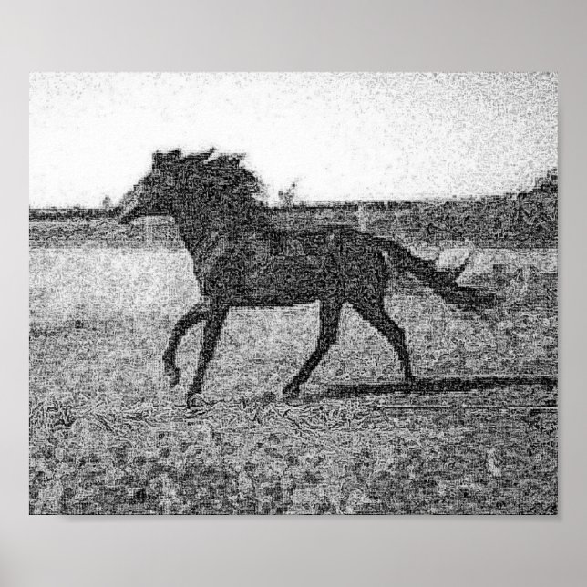 PÓSTER RUDOLFO - HORSE POSTER (Frente)
