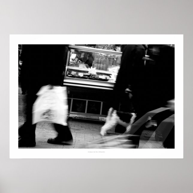 Póster Rue Daguerre Paris homenajea a Agnes Varda 6 Poste (Frente)