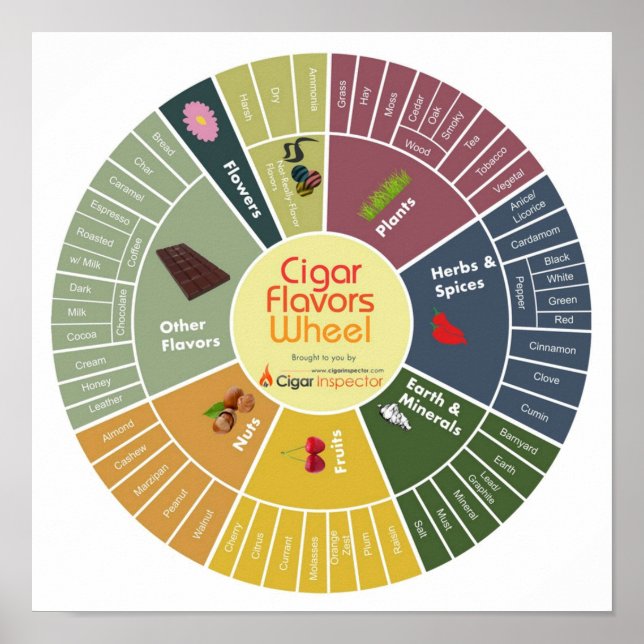 Póster Rueda Cigar Flavors (Frente)