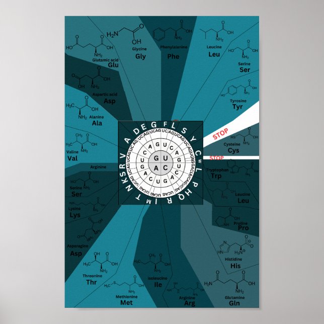 Póster Rueda de la gráfica de codón genética de aminoácid (Frente)